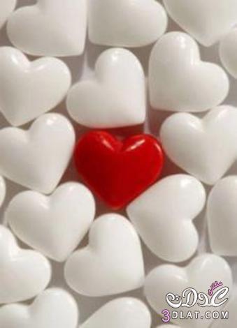 صور قلوب بيضاء للتصميم صور قلوب باللون الحمراء صور قلوب منوعة للتصميم