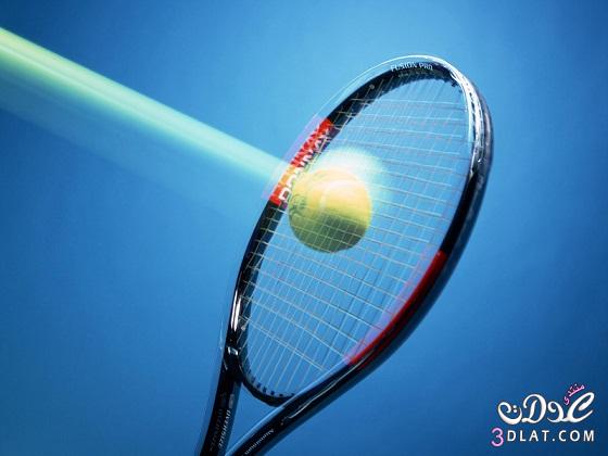 صور مضارب كرة التنس, صور كرة المضرب,التنس, صور التنس الارضى