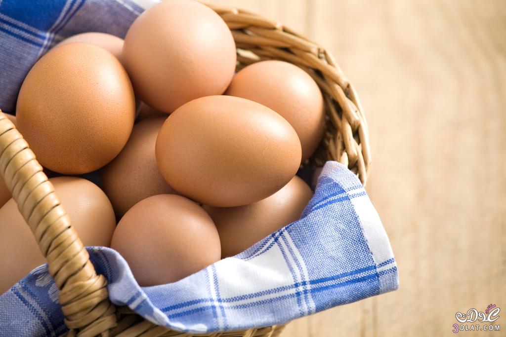 صور ظريفة للبيض صور بيض لطيف للتصميم صور رائعة بيض للتصمبيم