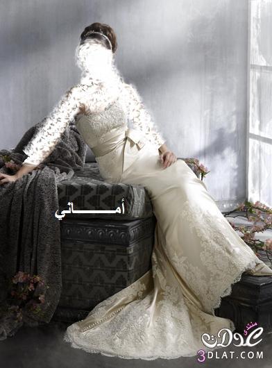 فسااتين العروس ووصيفاتها  في قمة الروعة فساتين اعراس 2024