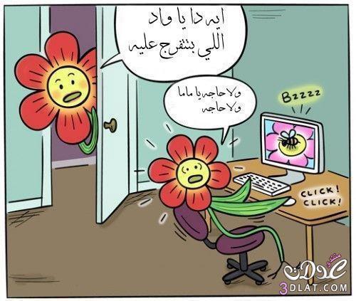 نكت مصورة  نكت2025