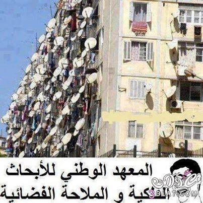 نكت مصورة  نكت2025