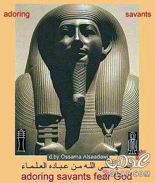 صور هامة عن الحضارة المصرية