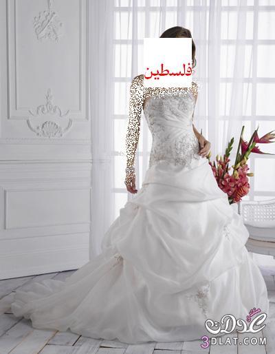 فساتين زفاف للعروسة اروع تشكيلة فساتين زفاف للعرايس 2024 فساتين زفاف مميزة للعر