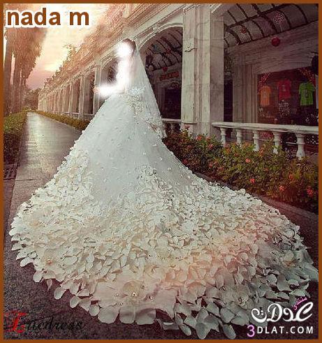 فساتين زفاف روعة Wedding Dress لاحلى عروسة فساتين افراح رائعة صور فساتين زفاف