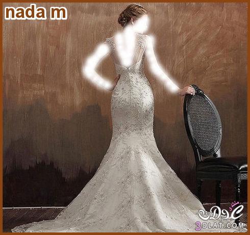 فساتين زفاف روعة Wedding Dress لاحلى عروسة فساتين افراح رائعة صور فساتين زفاف