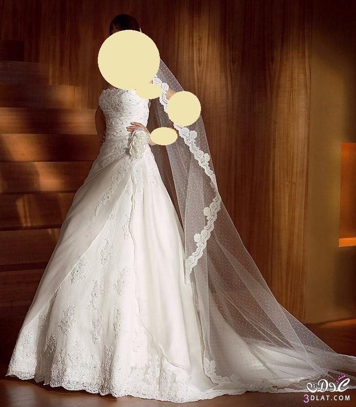 فساتين افراح جديدة Wedding Dress لاحلى عروسة فساتين زفاف رائعة صور فساتين عرايس