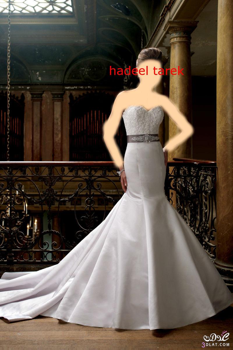 فساتين زفاف 2024 أروع وأجمل فساتين الزفاف 2024 Wedding dresses فساتين زفاف رائعة