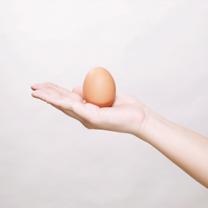 نصائح للتعامل مع البيض,تخزين البيض,شراء البيض,تنظيف البيض
