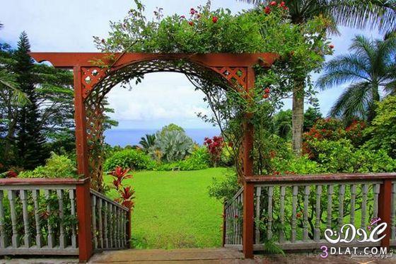 حدائق ماوى بجزيرة هاواى صور لحدائق ماوى بجزيرة هاواى شاهد حدائق ماوى