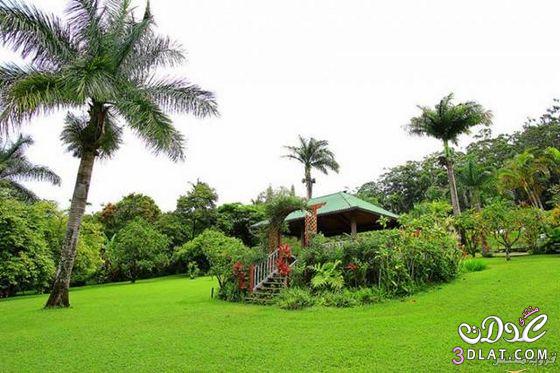 حدائق ماوى بجزيرة هاواى صور لحدائق ماوى بجزيرة هاواى شاهد حدائق ماوى
