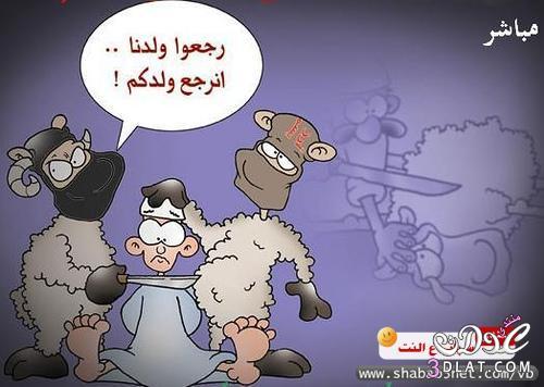 خروف العيد  ينتحر إنتحار خروف العيد