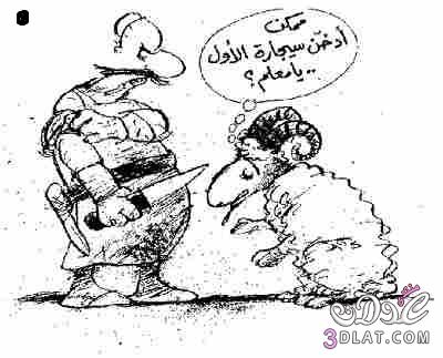 كاريكاتير عن خروف عيد الاضحي مضحك