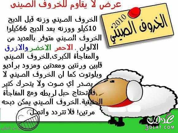 شوف الخروف بيدعي يقول ايه ههههههه ,كاريكاتير روعه2024