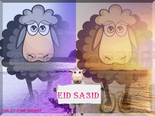 عيدكم سعيد تصميماتي لعيد الأضحى eid sa3id