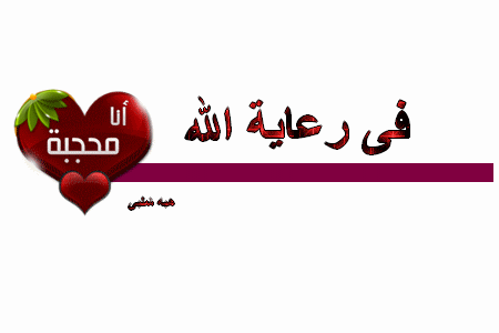 احمد العجمي - سورة النساء كامله