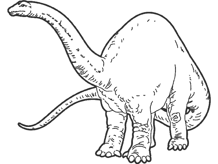 رسومات للتلوين رسومات ديناصورات للتلوين رسومات للاطفال للتلوين