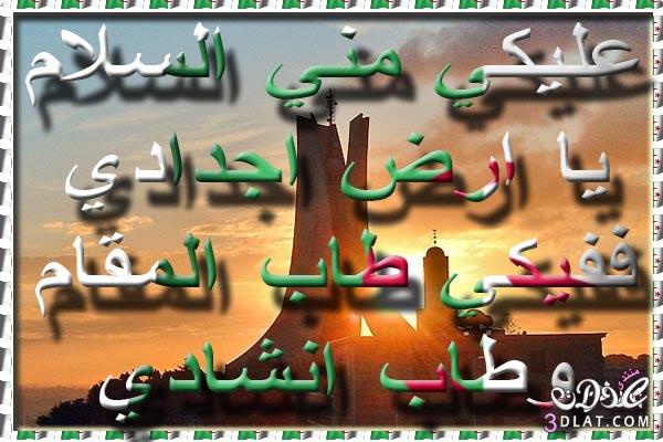 تحية من القلب للجزائر الحبيبة والشعب الجزائري بمناسبة ذكرى نوفمبر المجيدة