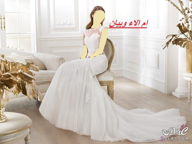 فساتين العروس 2024,احذث تشكيلة لفساتين الزفاف لاحلى عروس,تشكيلة فساتين زفاف 2024