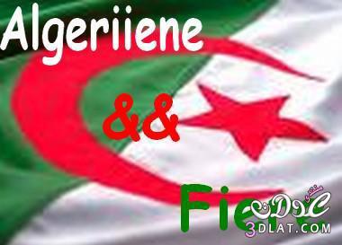 تحية من القلب للجزائر الحبيبة والشعب الجزائري بمناسبة ذكرى نوفمبر المجيدة