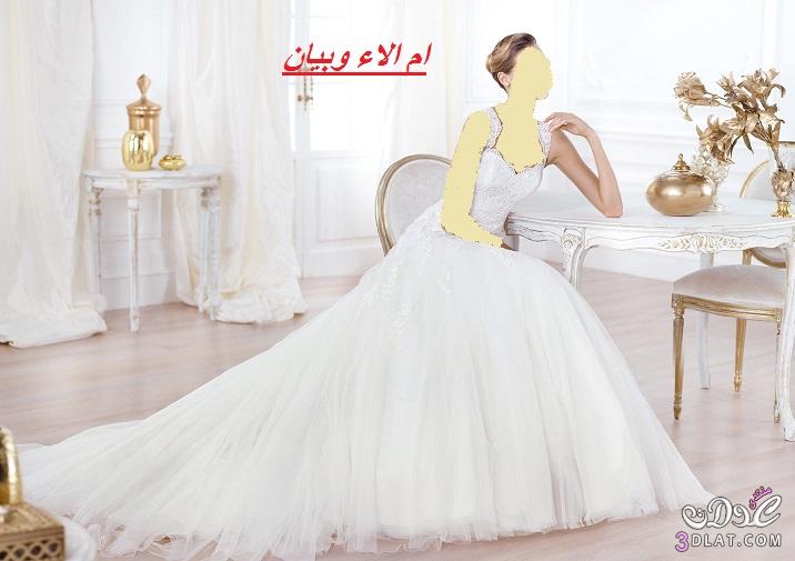 فساتين العروس 2024,تشكيلة رائعة لفساتين الزفاف لاحلى عروس