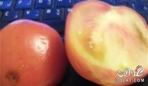 كيف تكتشفين الطماطم الاسرائيلية المسرطنة