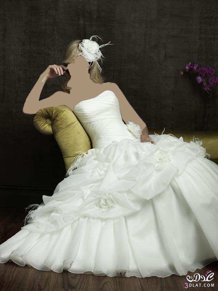 كولكشن فساتين أفراح بيضاء لعروس عدلات من تجميعي 2024.فساتين زفاف مودرن 2024 لأرق عروس