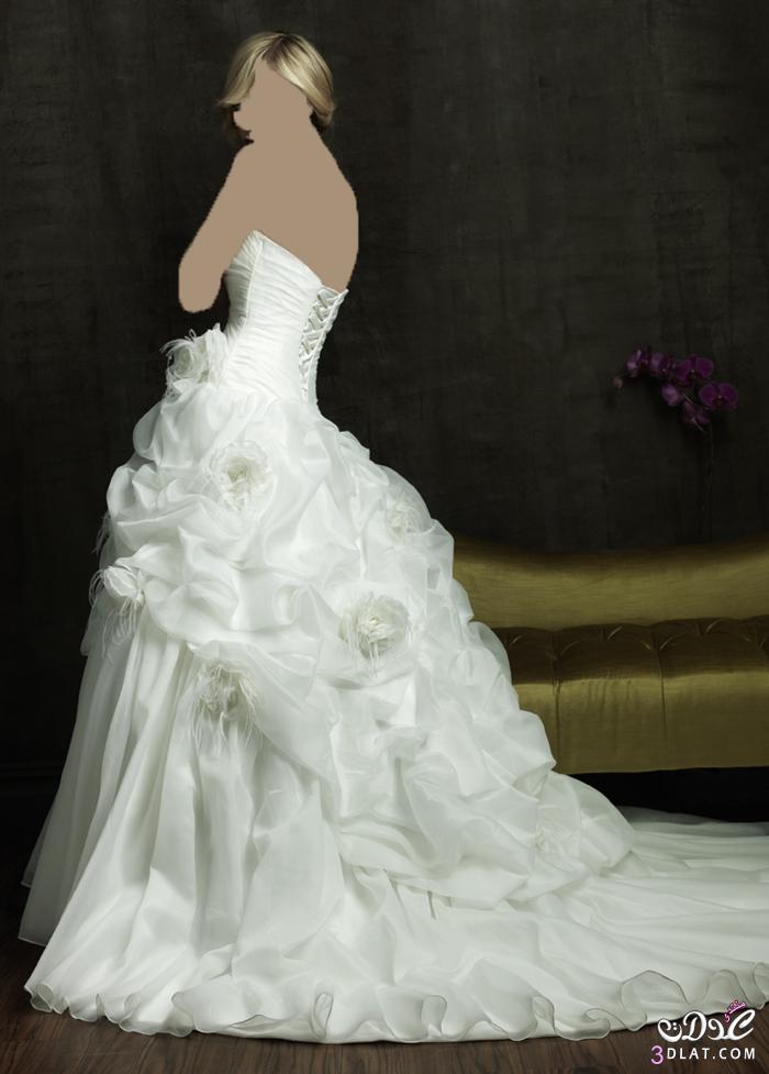 كولكشن فساتين أفراح بيضاء لعروس عدلات من تجميعي 2024.فساتين زفاف مودرن 2024 لأرق عروس