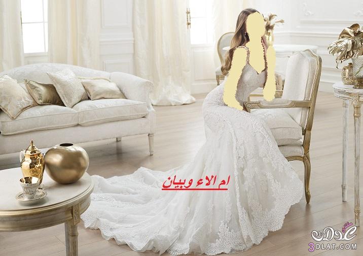 فساتين العروس 2024,احذث تشكيلة لفساتين الزفاف لاحلى عروس