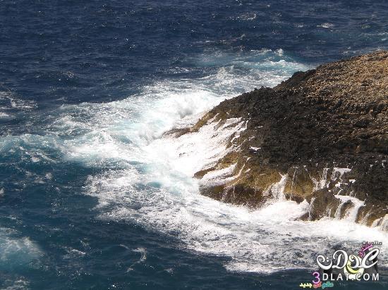 جزيرة مالطة معلومات عن ججزيرة مالطا