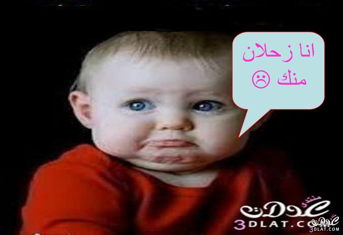 استفتاء على مسابقه أجمد تعليق بقسم الفرفشه