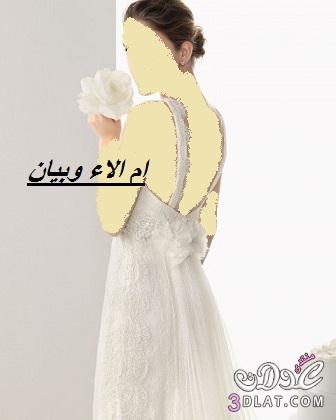 فساتين عروس 2024 من تصميم rosa clara,احلى فساتين زفاف في منتهى النعومة ج 4