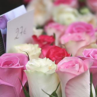 رد: رمزيات ورود رومانسية جنان,صور زهور وورود للمنتديات جميلة