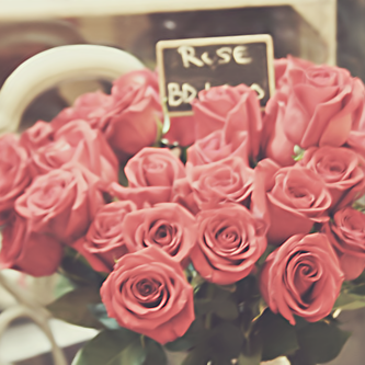 رد: رمزيات ورود رومانسية جنان,صور زهور وورود للمنتديات جميلة