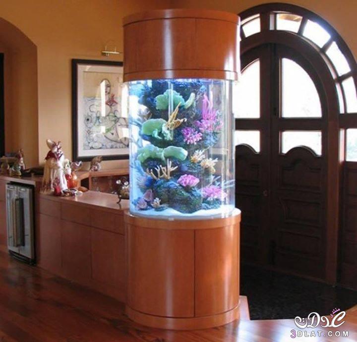ديكور منزل مستوحى من أعماق البحر ديكور حوض الأسماك