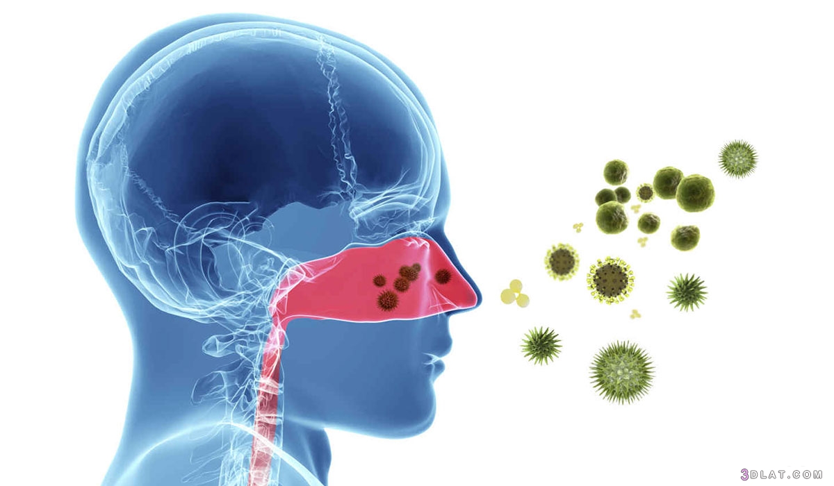 ​حساسية الأنف(حمى القش)تعريفها وأسبابها وأعراضها وعلاجها