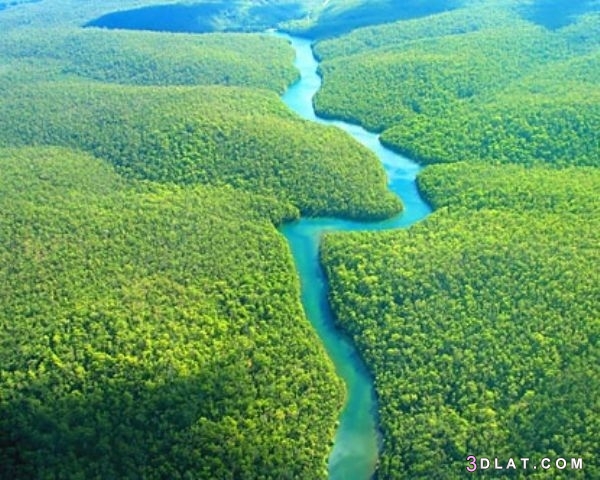 أعرض نهر في العالم،معلومات عن نهر الامازون