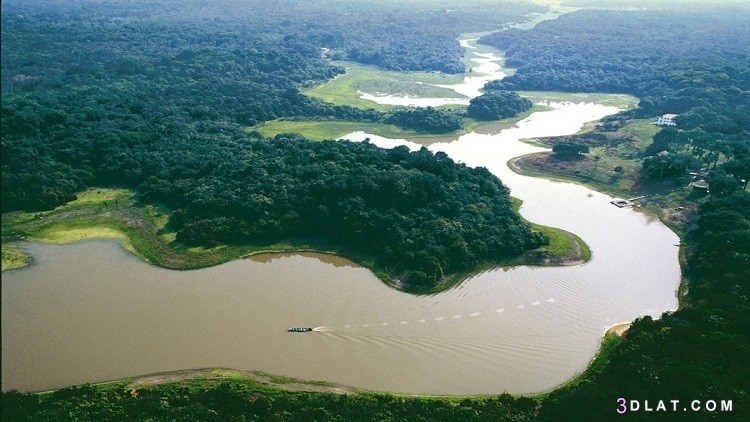 أعرض نهر في العالم،معلومات عن نهر الامازون