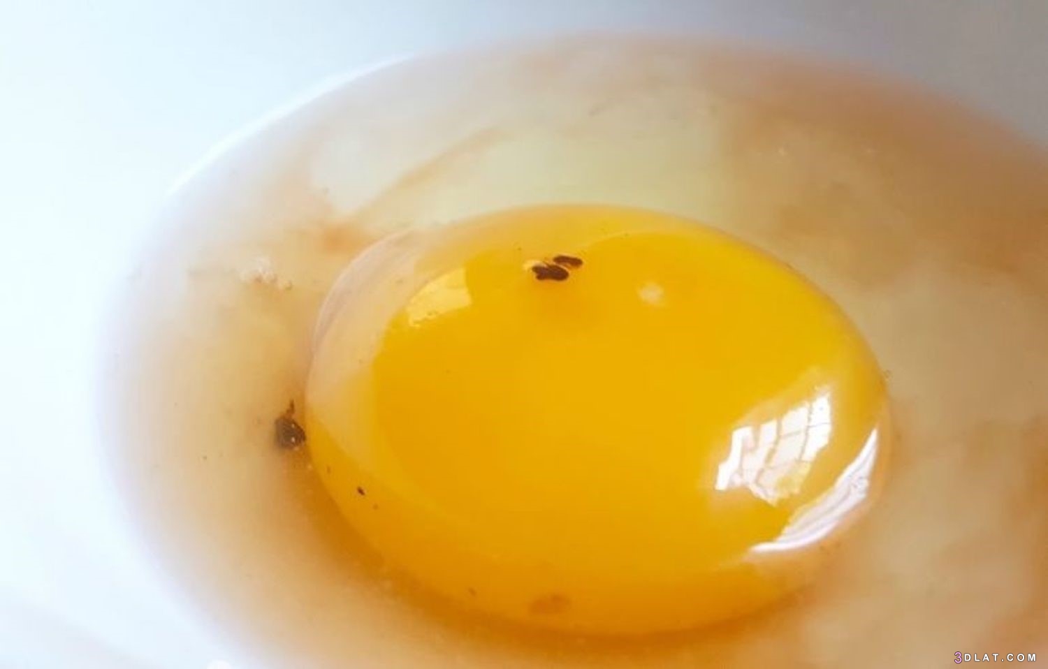 6 حيل لمعرفة البيضة الفاسدة ،كيف تعرفي البيض الفاسد قبل استخدامه، فوائد ال