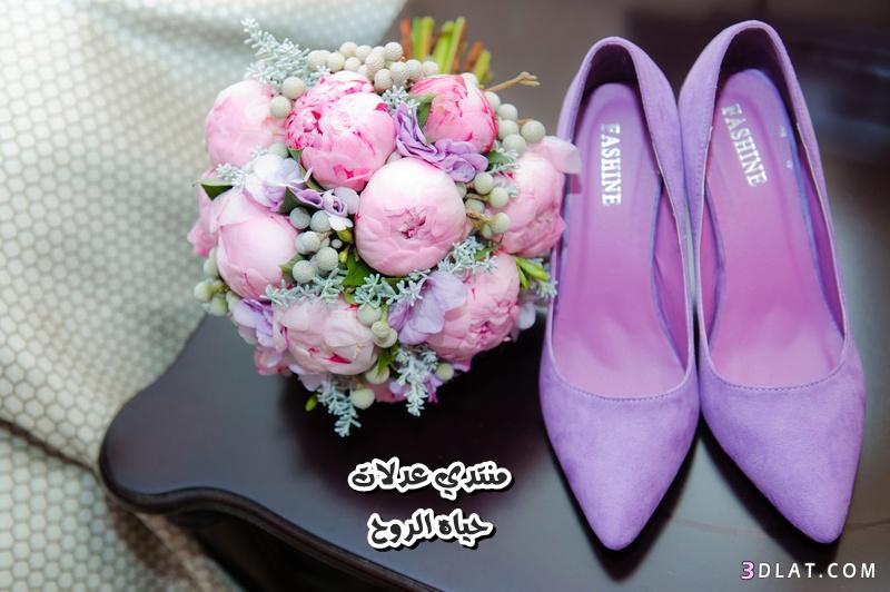 صور احذيه للعروس 2024 , أجدد كولكشن من أحذيه العروس بالكعب العالي,بالوان جذ