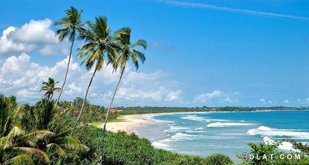 السياحة في سريلانكا : اهم 4 وجهات سياحية في سريلانكا