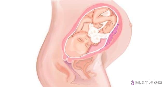 تحجر البطن في الشهر التاسع التخفيف من تحجّر البطن متى يجب الاتّصال بالطّبيب