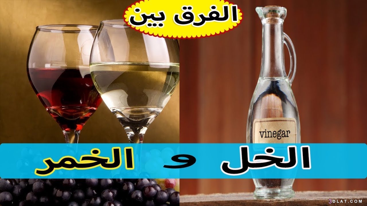 الفرق بين الخل والخمر ،رأي الشرع في الخمر والخلّ ،حكم استخدام الخل الذي يحو
