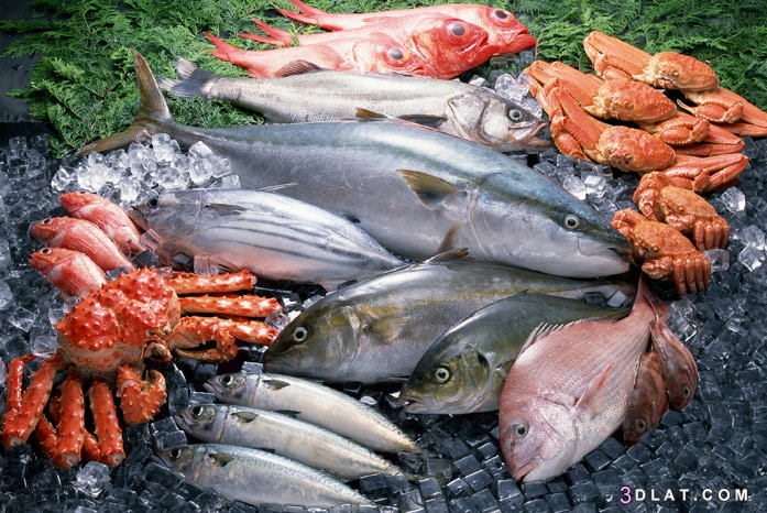 معايير وأسس إختيار السمك الطازج والسمك  المجمد وعلامات فساده