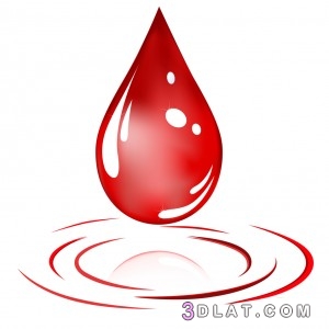 3 أعضاء في الجسم لا يصلها الدم ،تعريف الدم ودوره في جسم الإنسان ما هي مكون