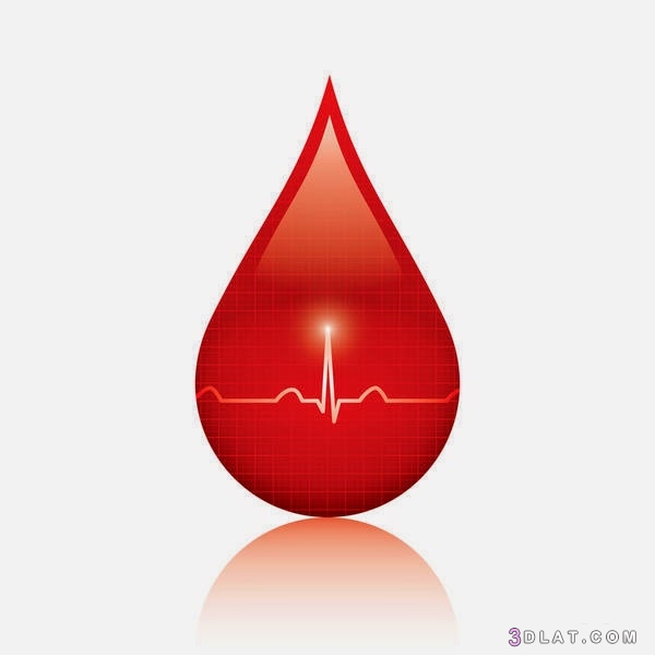 3 أعضاء في الجسم لا يصلها الدم ،تعريف الدم ودوره في جسم الإنسان ما هي مكون