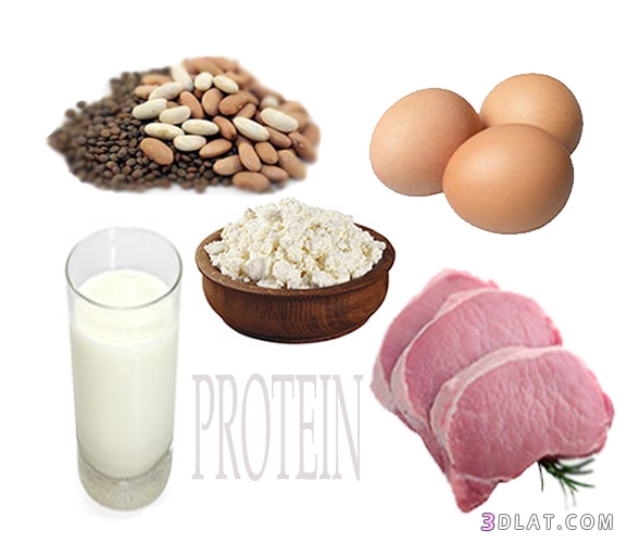 أفضل البروتينات التي تساعدك على انقاص الوزن.البروتينات التى تساعد على انقاص