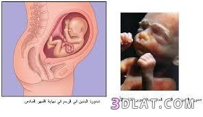 التغيرات التي تحدث للجنين في الشهر السادس, قوه حركه الجنين في الشهر السادس