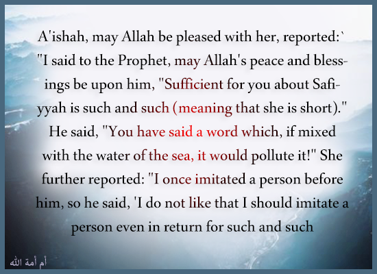 "I said to the Prophet, may Allah's peace and blessings be upon him, "Suffi