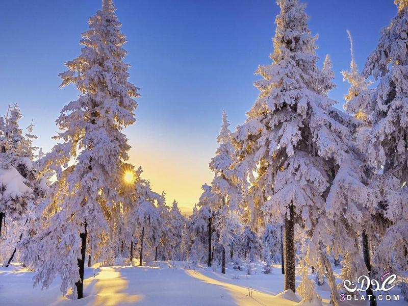 أروع صورثلوج في فصل الشتاء 2024- صورخلابة للطبيعة في فصل الشتاء،أحلى الصور المنوعه لل